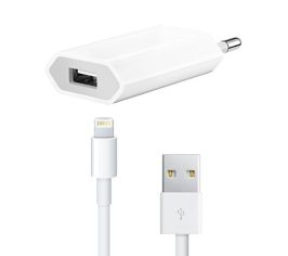 Сетевые Зарядные Устройства Lightning / 8-pin