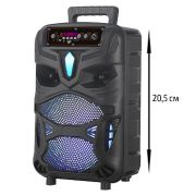 Акустика NDR - Портативная колонка NDR-P55 20W
