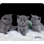 Коврик для мыши Perfeo Cat принт 026 размер 180*220*2 мм