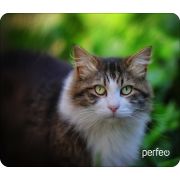 Коврик для мыши Perfeo Cat принт 024 размер 180*220*2 мм
