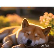 Коврик для мыши Perfeo Dog принт 005 размер 240*200*2 мм
