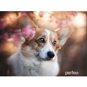 Коврик для мыши Perfeo Dog принт 010 размер 240*200*2 мм