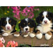Коврик для мыши Perfeo Dog принт 013 размер 240*200*2 мм