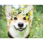 Коврик для мыши Perfeo Dog принт 002 размер 240*200*2 мм
