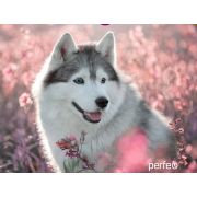 Коврик для мыши Perfeo Dog принт 004 размер 240*200*2 мм
