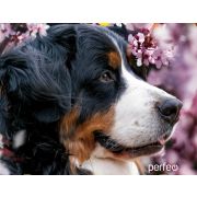 Коврик для мыши Perfeo Dog принт 006 размер 240*200*2 мм
