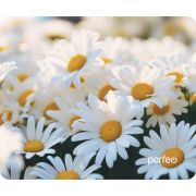 Коврик для мыши Perfeo Цветы принт 002 размер 240*200*2 мм