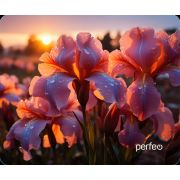 Коврик для мыши Perfeo Цветы принт 003 размер 240*200*2 мм