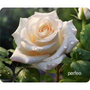 Коврик для мыши Perfeo Цветы принт 008 размер 240*200*2 мм