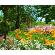 Коврик для мыши Perfeo Природа принт 009 размер 240*200*2 мм