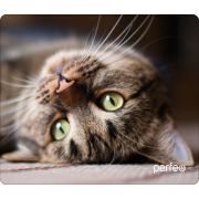 Коврик для мыши Perfeo Cat принт 012 размер 340*280*4 мм