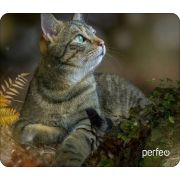 Коврик для мыши Perfeo Cat принт 027 размер 180*220*2 мм